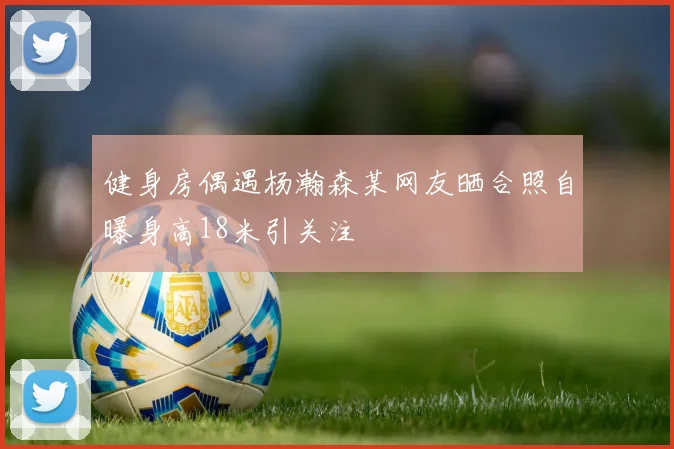 健身房偶遇杨瀚森某网友晒合照自曝身高18米引关注