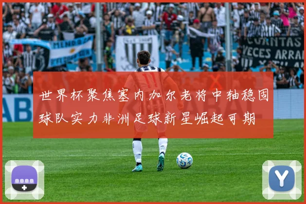 世界杯聚焦塞内加尔老将中轴稳固球队实力非洲足球新星崛起可期