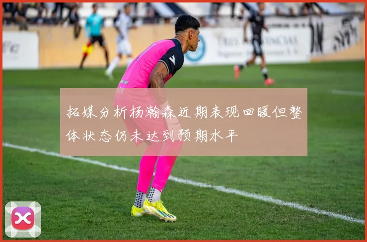 拓媒分析杨瀚森近期表现回暖但整体状态仍未达到预期水平